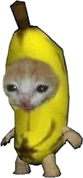 A low quality image of a sad cat wearing a banana as a costume