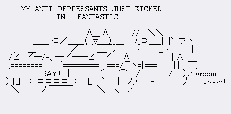 An ASCII image of the cat character Mona riding a car while shouting MY ANTI DEPRESSANTS JUST KICKED IN! FANTASTIC! The liscense plate of the car says GAY! and the car is going vroom vroom!