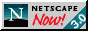Netscape NOW! 88x31 button